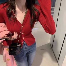 批发新款杏色V领针织打底衫女秋冬设计感小众<b class='q'>气质</b>收腰内搭毛衣苞芯纱