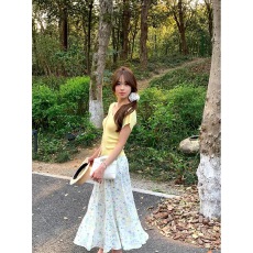 批发温柔风碎花半身裙女2025<b class='q'>夏季</b>新款高腰百搭韩系仙女裙子