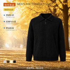 秋冬季日系休闲轻奢风翻领男polo衫简约纯色菱形百搭针织毛衣男潮