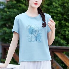 批发<b class='q'>专柜</b><b class='q'>正品</b>纯棉印花t恤女夏装短袖2026年新款宽松气质上衣显瘦体恤