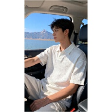 批发短<b class='q'>袖</b>polo衫男款夏季白色麦穗纹肌理感t恤翻领透气<b class='q'>半截</b><b class='q'>袖</b>