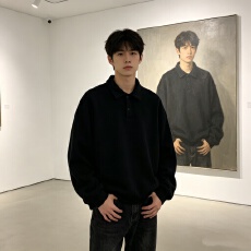 休闲Polo领卫衣男春秋季宽松百搭翻领套头衫韩系简约重磅上衣