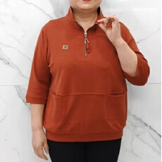 批发270克德绒新款半拉链立领妈妈装保暖卫衣秋冬时尚长袖减龄上衣衫