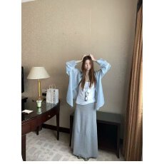 批发档口上新 2026年秋季新款女士针织<b class='q'>半身裙</b>直筒长<b class='q'>裙</b><b class='q'>休闲</b>显瘦