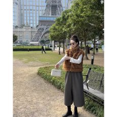 批发档口上新 2026<b class='q'>秋</b>冬新款女装仿皮草毛绒马甲立领拉链无袖保暖背心