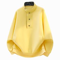 批发秋<b class='q'>冬</b>季新款高品质秋款卫衣日系男女同款长袖潮牌插色翻领宽松上衣