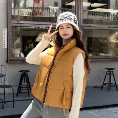 批发立领格子韩版保暖棉服马甲秋冬短款新款时尚坎肩小个子背心外套女