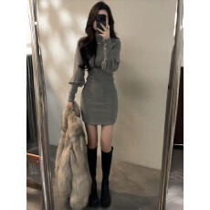 批发韩系复古风气质灯笼袖半高领<b class='q'>连衣裙</b>女秋季设计感褶皱内搭打底短裙